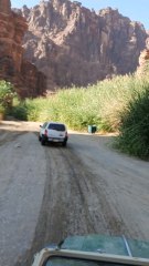 “Wadi Disah – The Hidden Paradise of Tabuk”