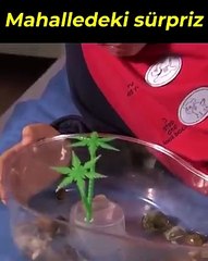 Yeni hayatımıza hoş geldiniz