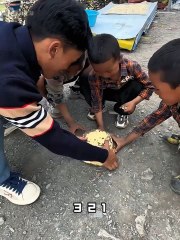 Appreciation of Human Confusing and Humorous Behavior🥰🥰🥰