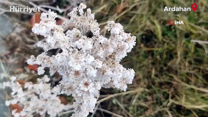 Göle eksi 13 derece, ağaçlar kırağı tuttu