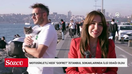 Motosikletli kedi "Gofret" İstanbul sokaklarında ilgi odağı oldu