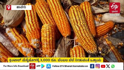 ಮೆಕ್ಕೆಜೋಳಕ್ಕೆ ಕೇಂದ್ರ ಕೊಡುವ 2,400 ರೂ. ಬೆಂಬಲ ಬೆಲೆಯೊಂದಿಗೆ ರಾಜ್ಯದಿಂದಲೂ 600 ರೂ. ಸೇರಿಸಿ ನೀಡುವಂತೆ ಒತ್ತಾಯ