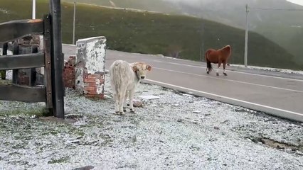 Las primeras heladas y nevadas llegan a Cantabria, con varias provincias en aviso