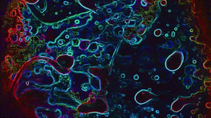 Tranced and Psychedelisized #219  (Karen) - November 19, 2025  #Shorts #YouTubeShorts #Trending #Viral #Explore #FYP #Funny #Entertainment  #Music #Dance #Gaming #Tech #Travel #Lifestyle #Motivation #Comedy #Challenge  #Food #DIY #Sports #Fashion #Beauty