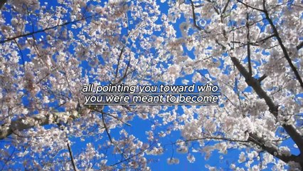 WATCH THIS EVERY DAY AND CHANGE YOUR LIFE | Powerful Morning Motivation | Life Changing Speech