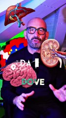 Bassetti - Tutto quello che c’è da sapere sulla legionella. (20.11.25)