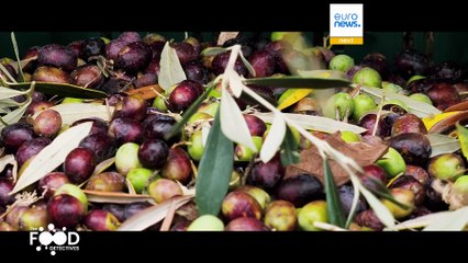 Is your olive oil real or fake?  How the Food Detectives can fight fraud using DNA tests