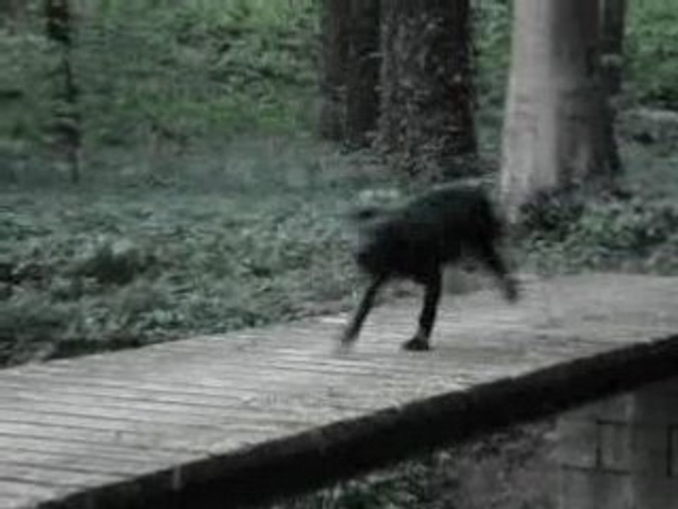 Grisette et ses premiers jeux d'eau