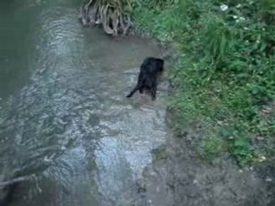 Grisette et ses premiers jeux d'eau