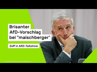 Boris Palmer: Brisanter AfD-Vorschlag bei "maischberger" - Zoff in ARD-Talkshow