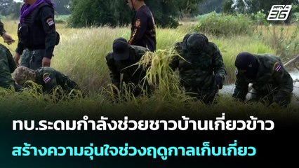 ทบ.ระดมกำลังช่วยชาวบ้านเกี่ยวข้าว สร้างความอุ่นใจช่วงฤดูกาลเก็บเกี่ยว | เข้มข่าวเย็น | 20 พ.ย. 68