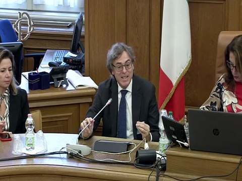 Roma - Legge annuale sulle piccole e medie imprese - Audizioni - Confindustria accessori moda, Fondazione Altagamma, Confcooperative, Google Italia, Equo garantito e Assemblea generale del commercio equo e solidale - 2673 Governo, approvato dal Senato (20