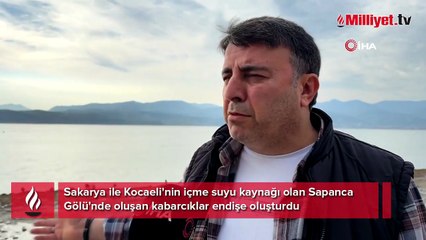 Sapanca Gölü'nde neler oluyor? Panik yaratan hareketliliğe açıklama geldi