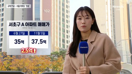 10·15 대책에도…서울 아파트 상승폭 ‘다시 확대’