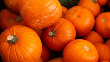 Those Store-Bought Pumpkins Are Hiding Some Dirty Secrets