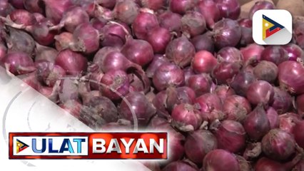D.A., tiniyak na hindi na sisipa ang presyo ng sibuyas kumpara noong nakaraang taon | ulat ni Vel Custodio