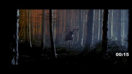 Best Action Movies 2025 - This Powerful Documentary Will Break and Heal Your Heart _ Based on True Events