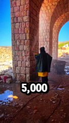 Better Than Concrete? 🏛️ #facts #fact