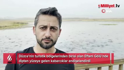 Sapanca'dan sonra şimdi de Efteni Gölü'nde esrarengiz olay! ‘Merak ve şaşkınlık içerisindeyiz’