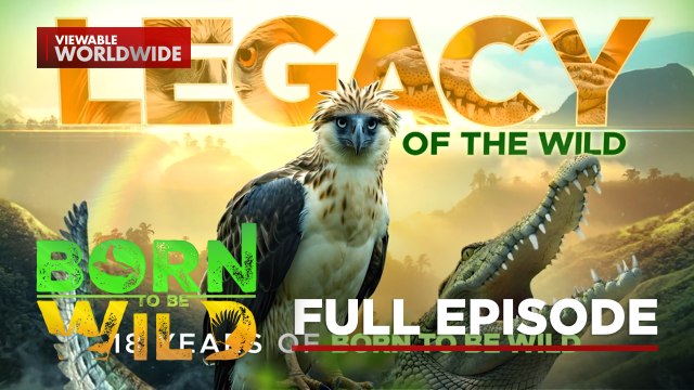 Legacy of the Wild - 18th Anniversary Special (Part 1) | Born To Be Wild
