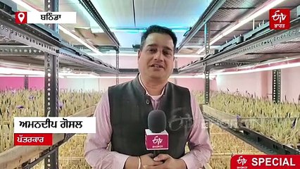 ਕਸ਼ਮੀਰੀ ਕੇਸਰ ਦੀ ਖੇਤੀ ਨਾਲ ਪੰਜਾਬ ਦਾ ਇਹ ਕਿਸਾਨ ਕਮਾ ਰਿਹਾ ਲੱਖਾਂ ਦਾ ਮੁਨਾਫ਼ਾ, ਜਾਣੋ ਕਿਵੇਂ