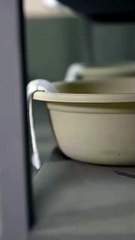 Champion's Deepest Love Full movie🍒