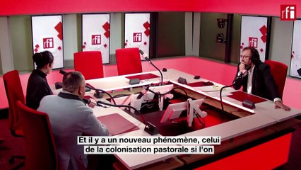 « Des colons sèment la terreur » en Cisjordanie, dit le maire de Jénine.