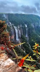 VID-2025water fall beautiful view water 😭
