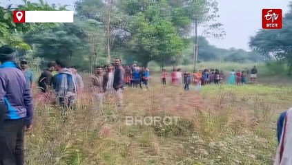 गिरिडीह में 22 हाथियों के झुंड का विचरण, फसलों को नुकसान, लोगों के मन में बैठा डर