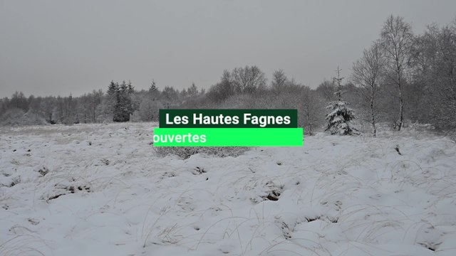 Les Hautes Fagnes recouvertes d'un tapis neigeux