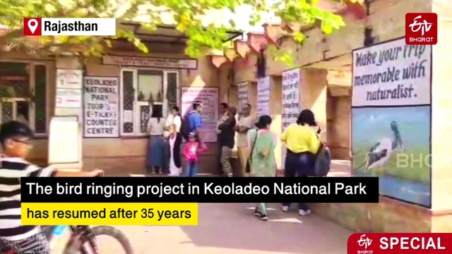 Bird Ringing Returns To Rajasthan's Keoladeo National Park After 35 Years: Everything To Know