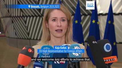 EU countries demand seat at the table over US-Russia plan to end war in Ukraine