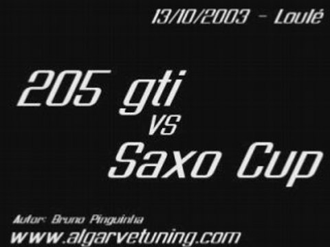 Peugeot 205 Gti Vs Citroen Saxo Cup