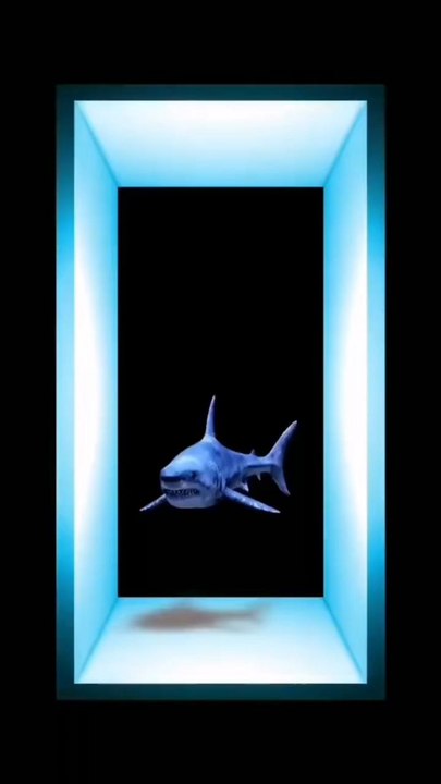 bienvenue dans mon monde où même l’océan fete noel