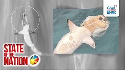 Pating na nasakluban ng diaper sa ulo, hinihinalang na-suffocate | SONA