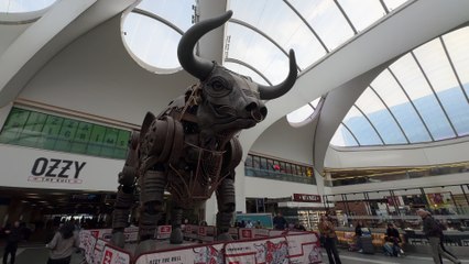 West Midlands rail growth meets questions over delays