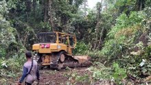 D6R XL Bulldozer Cleans Plantations Quickly and Efficiently