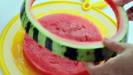 5 Quick Dinner Recipes for Busy Nights