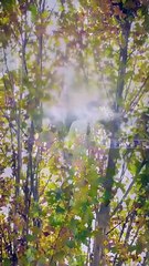 Together, Hearts in Sync #Dramabox