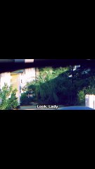 His Wife Is A Paid ACTRESS 🎭#movisrecaps