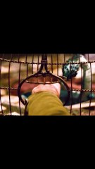 One Night With Her SAVED His Life 🐍🛏️❤️‍#movisrecaps