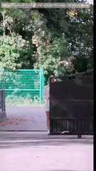 Mafia's Tender Torture Full Movie HD