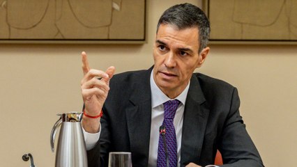 Sánchez: "Algunos se creen con la prerrogativa de tutelar o amordazar la democracia"