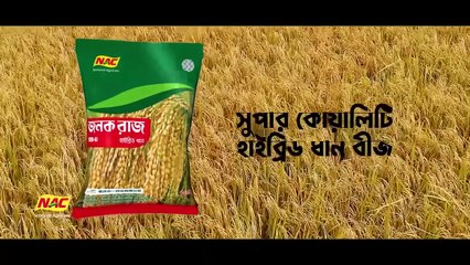 EPISODE 14  Bachelor Point  S5  Kabila  Habu  Pasha  Shimul  Kajal Arefin Ome  Boom Films#7560