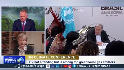 COP30 Climate Stakes: Maintaining Progress Amid Challenges and Absences