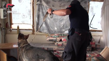 Gela (CL) - Rider della droga e codice delle "pecore": cinque arresti nell'operazione "White Sheep" (20.11.25)