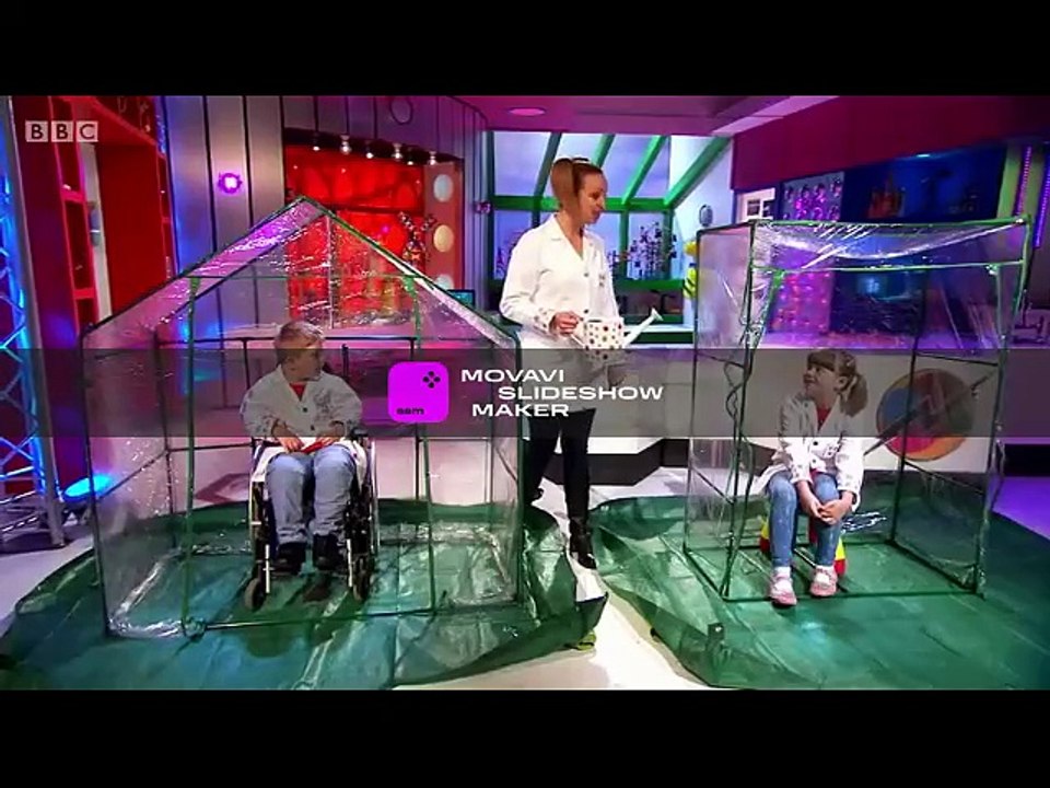 عمار عبدون بلس tv مباشر
