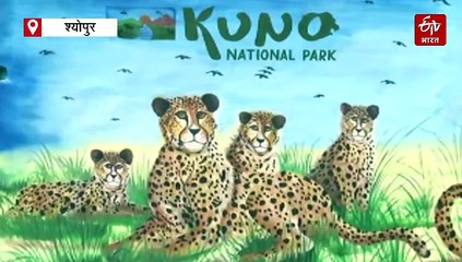 चीता 'मुखी' ने मध्यप्रदेश के कुनो नेशनल पार्क में पांच शावकों को दिया जन्म