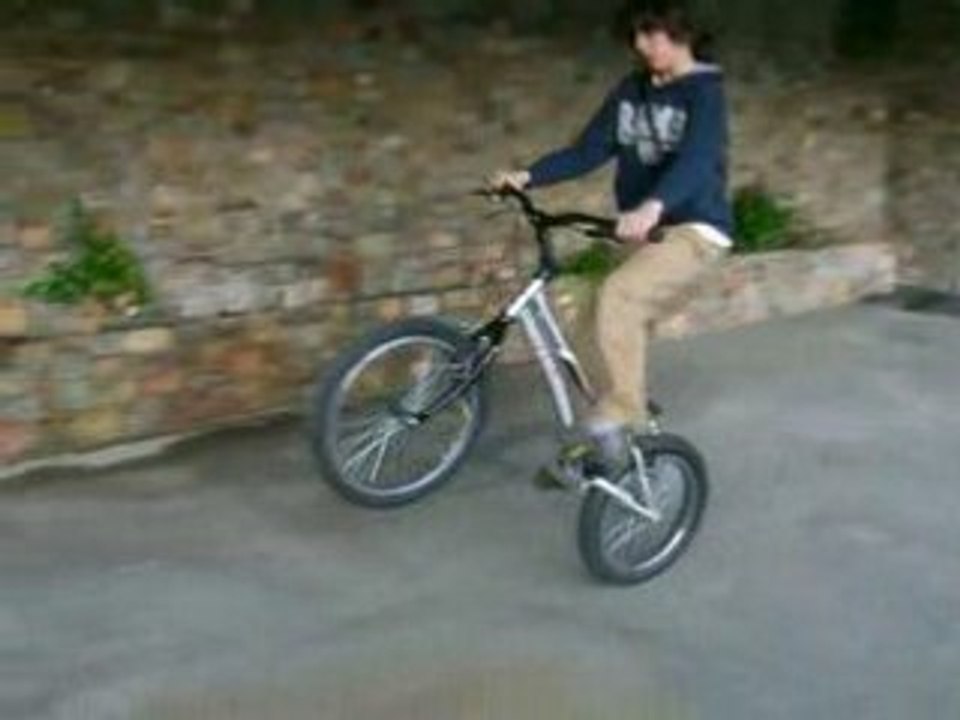 btt arnau