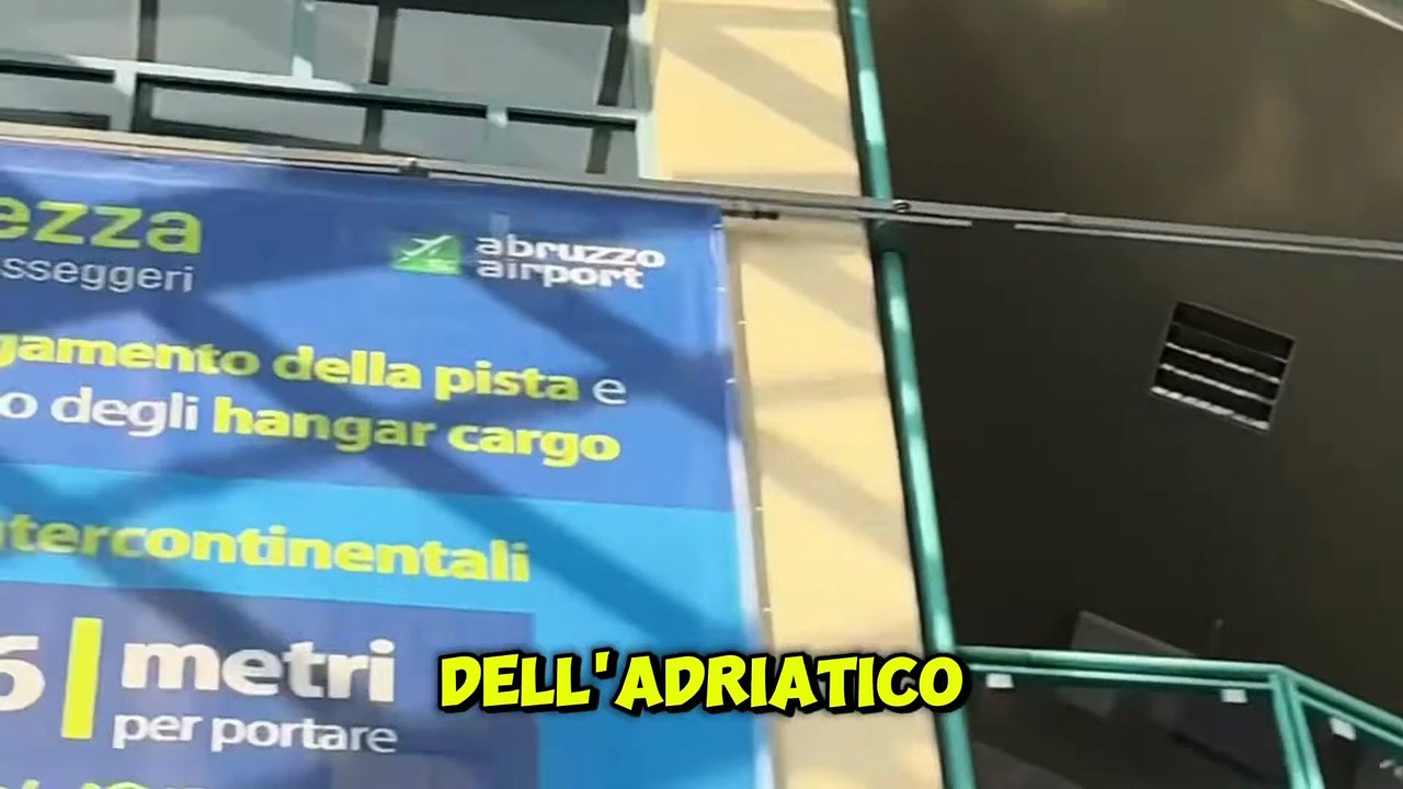 Marsilio -  “   ” (20.11.25)